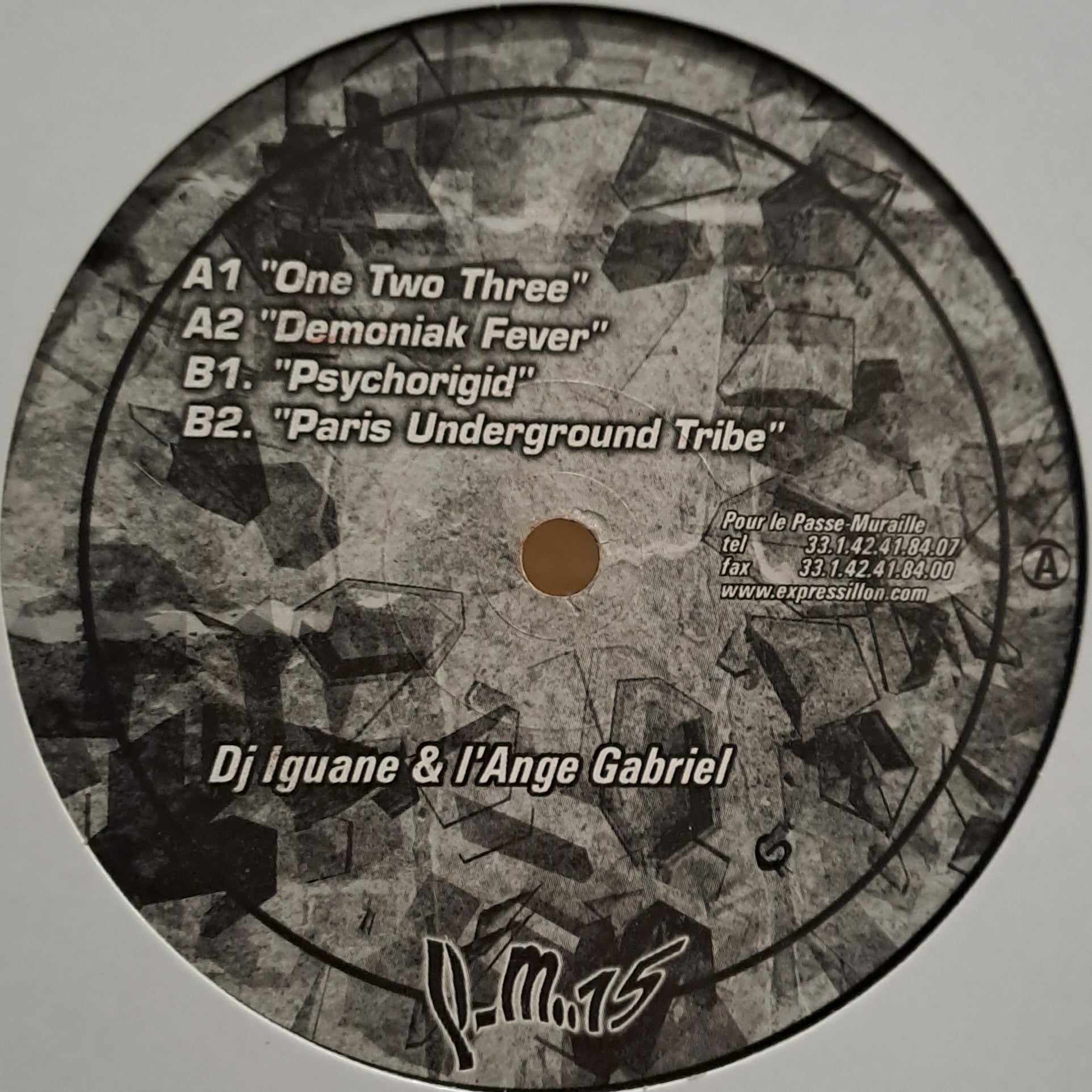Passe-Muraille 15 - vinyle freetekno